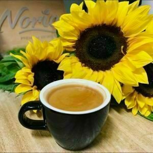 noria coffee