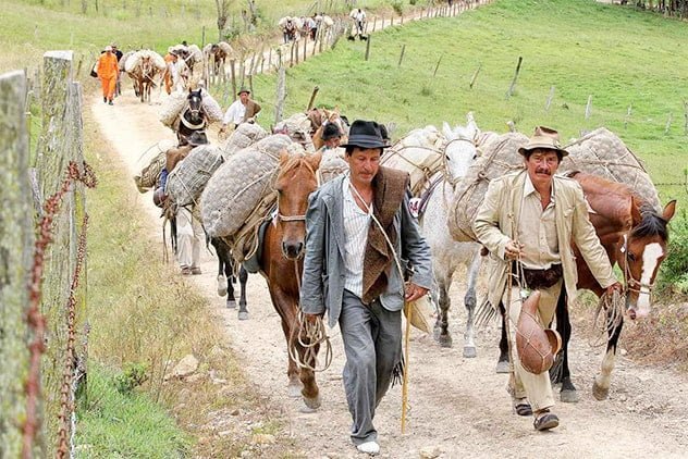 el cafe tostado y la desaparicion de la mula la pava