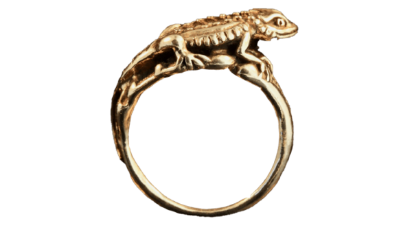 El mejor cogedor de cafe